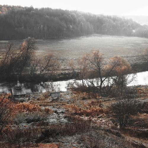 Photo #13428091