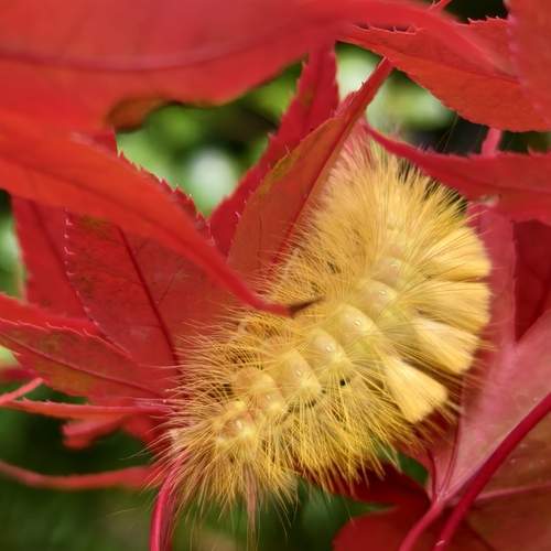 Фотография #13428098