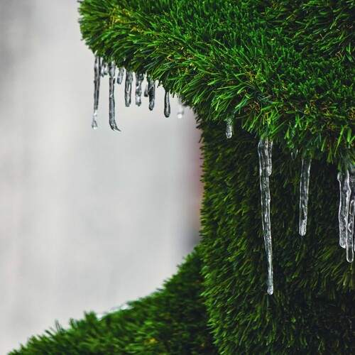 Photo #13428281