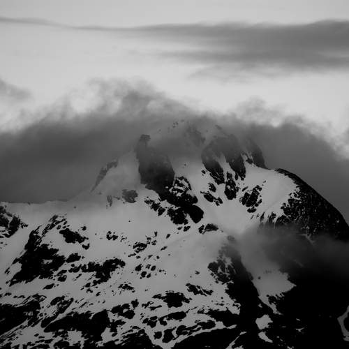 Photo #13428314