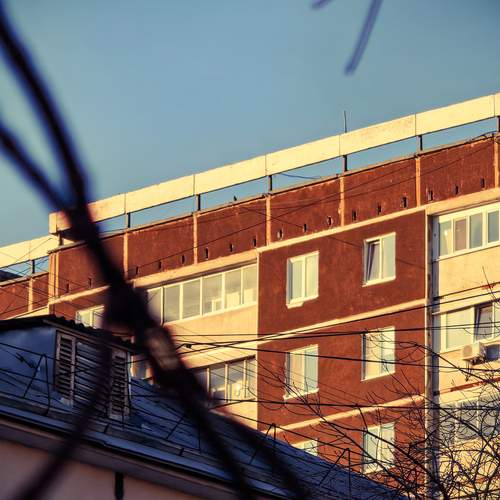 Photo #13428340