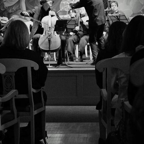 Photo #13428381