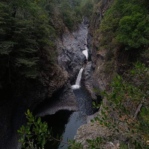 Photo #13428473
