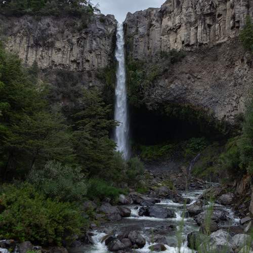 Photo #13428475