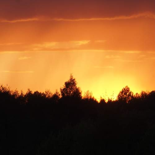 Photo #13428490