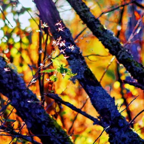 Photo #13428498