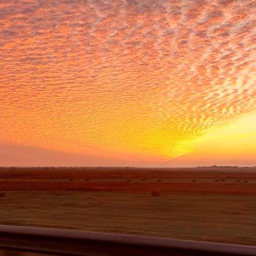 Фотография #13428543