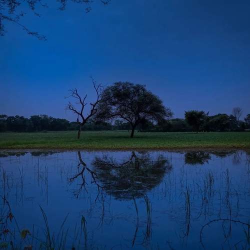 Photo #13428647