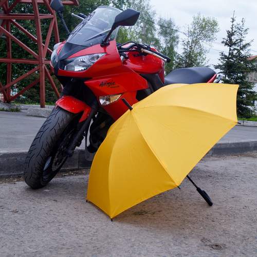 Photo #13428714
