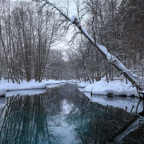 Photo #13428758