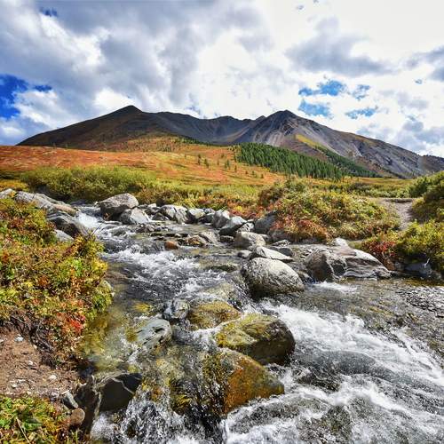 Photo #13428760