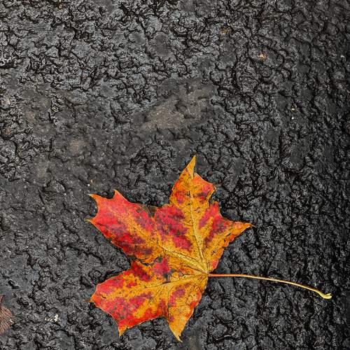 Photo #13428826