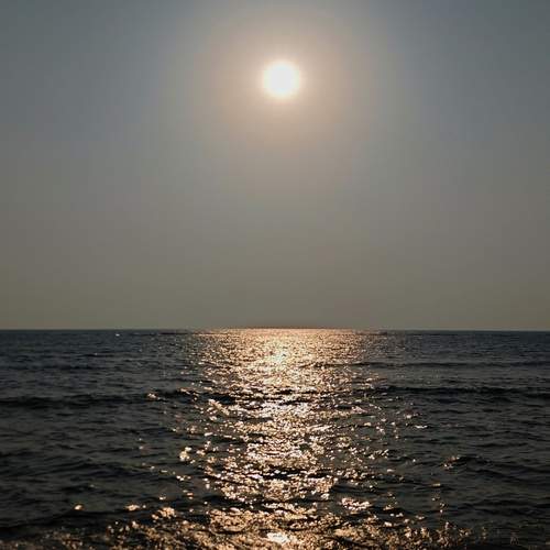 Photo #13429052