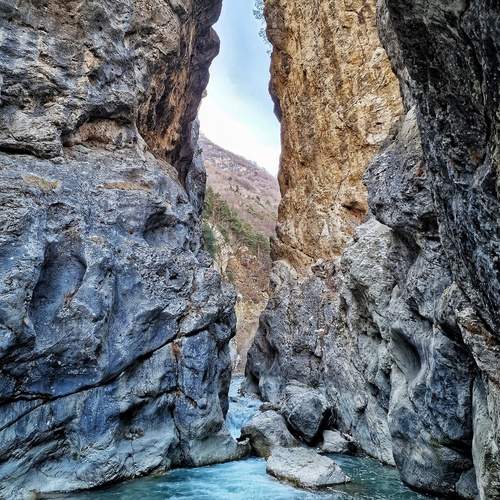 Photo #13429152