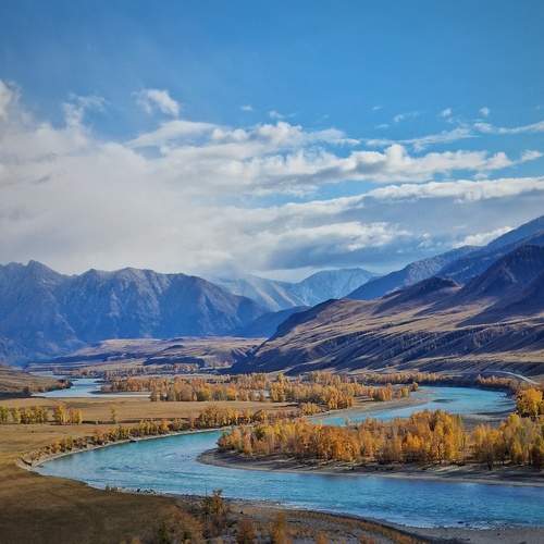Photo #13429155