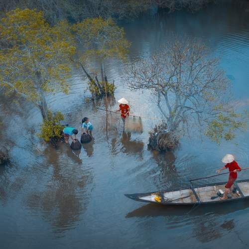 Фотография #13429427