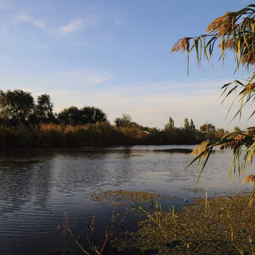 Ерик Солянка