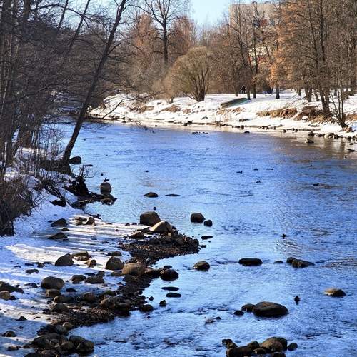 Photo #13429759