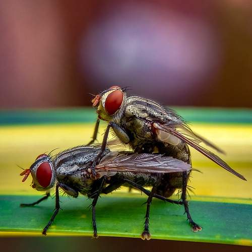 Photo #13429781