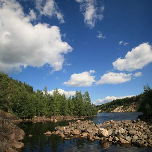 Photo #13429836