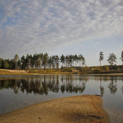 Photo #13429837