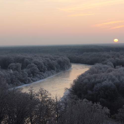 Photo #13429838