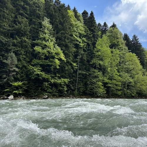 Photo #13429936