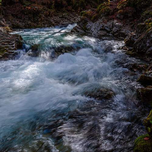 Photo #13430012