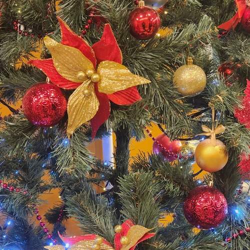 Photo #13430023