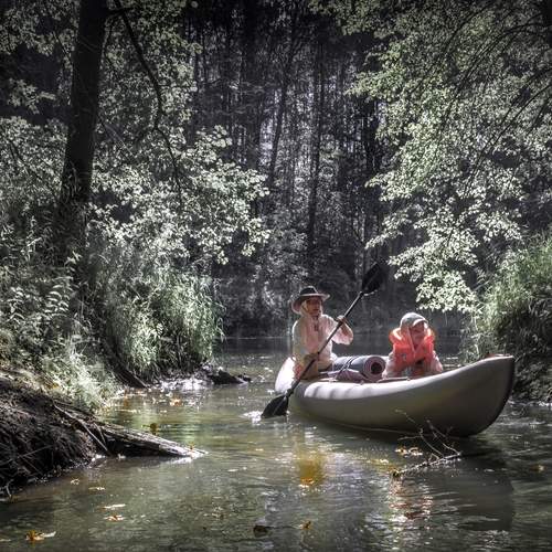 Photo #13430034