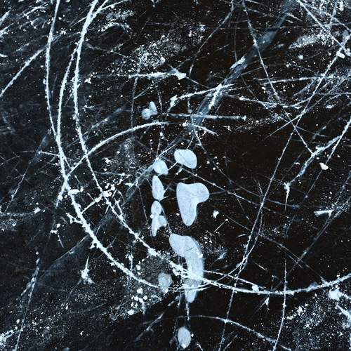 Photo #13430060