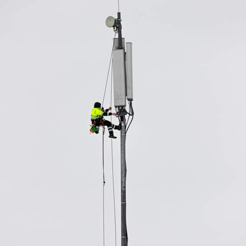 Photo #13430091