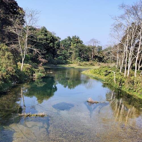 Photo #13430116