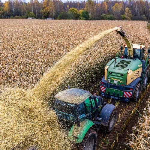 Фотография #13430196