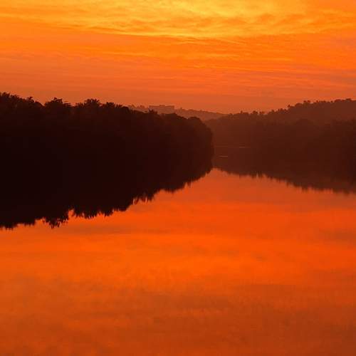 Photo #13430258