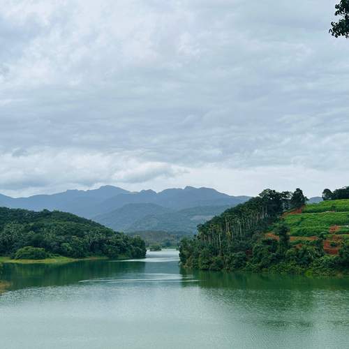 Photo #13430263