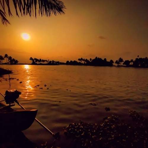 Photo #13430294