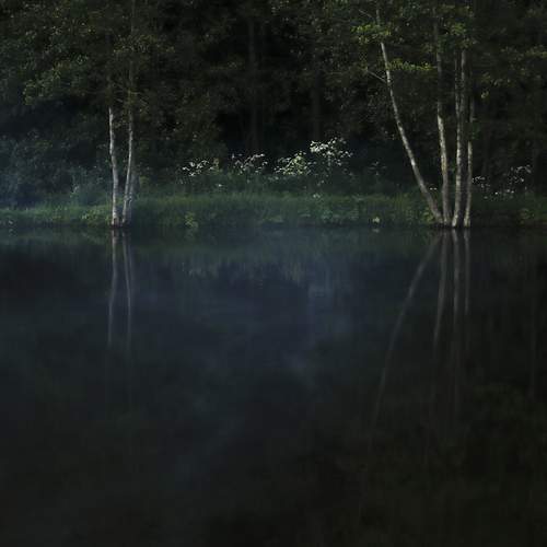 Photo #13430348