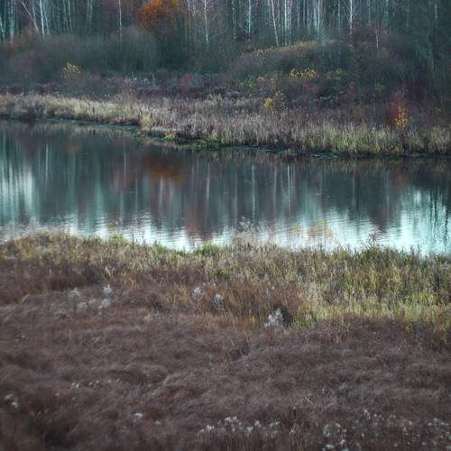 Photo #13430355