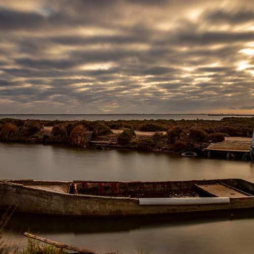Photo #13430389