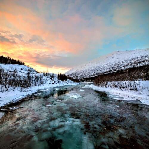 Photo #13430487