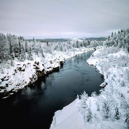 Photo #13430488