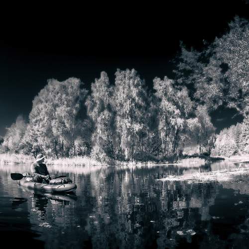 Photo #13430504