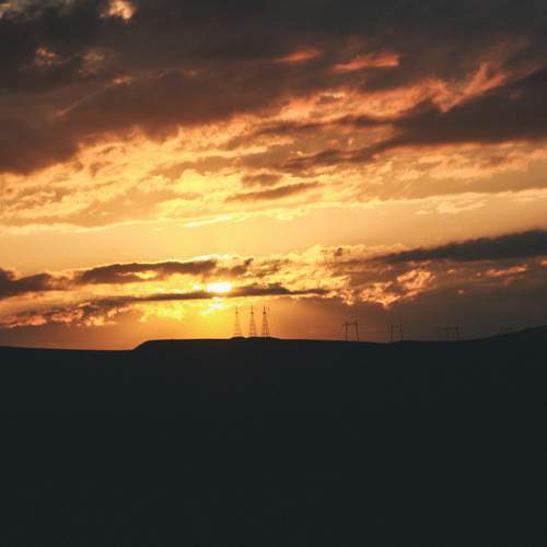 Photo #13430631