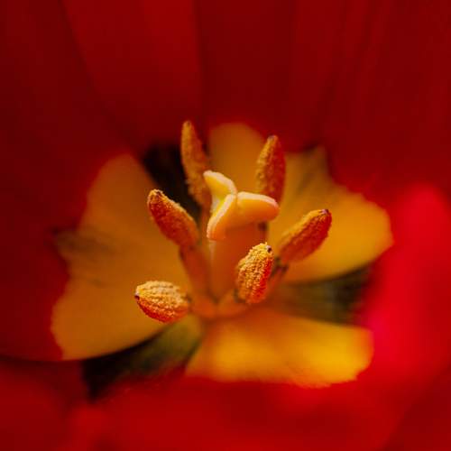 Photo #13430734