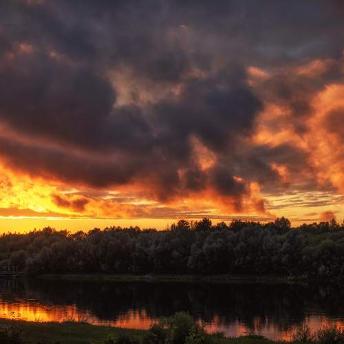 Photo #13430836