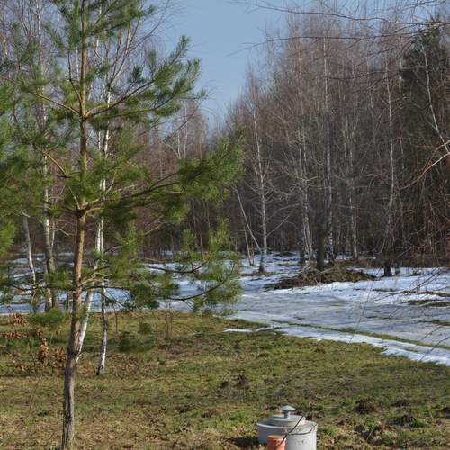 Photo #13431071