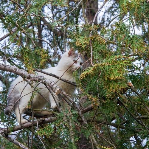 Photo #13431109