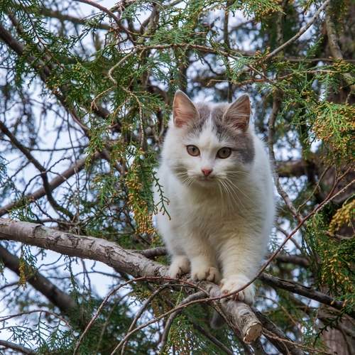 Photo #13431110