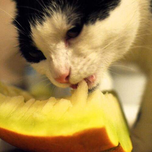 Photo #13431115